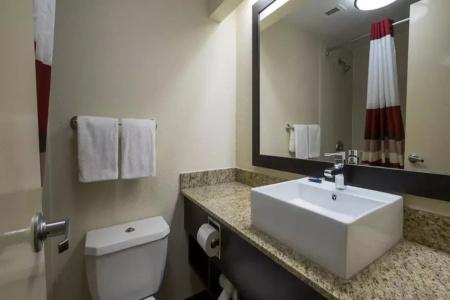 Red Roof Inn Plus+ Houston - Energy Corridor - 8