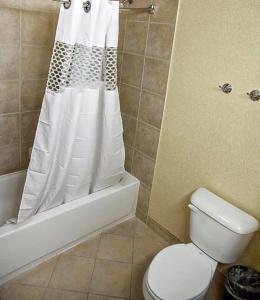 Kitchener Inn & Suites - 68