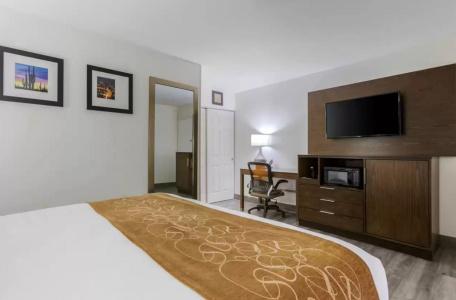 Comfort Suites At Sabino Canyon - 3
