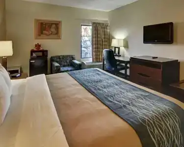 Quality Inn & Suites Dfw Airport South - 75