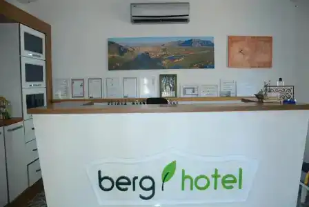 Berg - 1