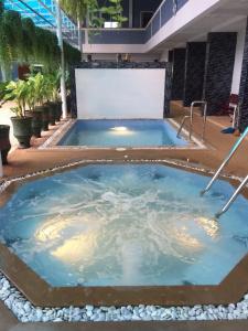 Suan Palm - 6