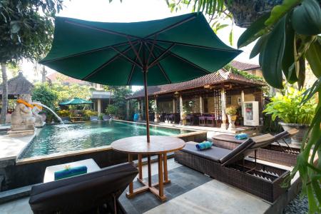 Ubud Aura Retreat - 14