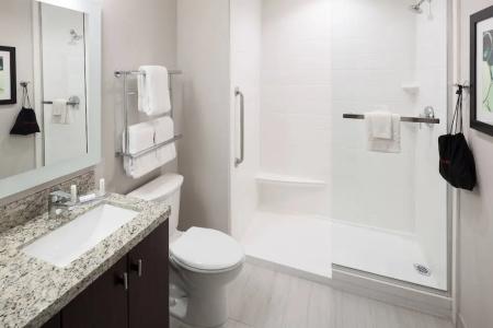 TownePlace Suites by Marriott Orlando at SeaWorld - 93