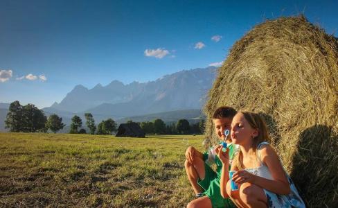 Pension Steiermark - 13