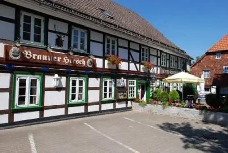 Brauner Hirsch - 0