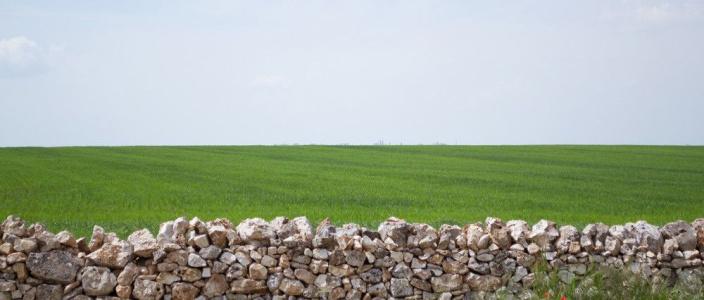 Masseria La Meridiana - 24