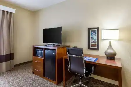 Comfort Inn & Suites Airport - 33