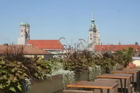 Deutsche Eiche - 16