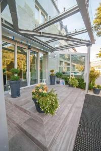 Jantar Wellness & Spa - 6