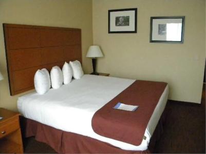 Baymont by Wyndham Savannah/Garden City - 18