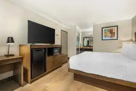 Best Western Plus - 32