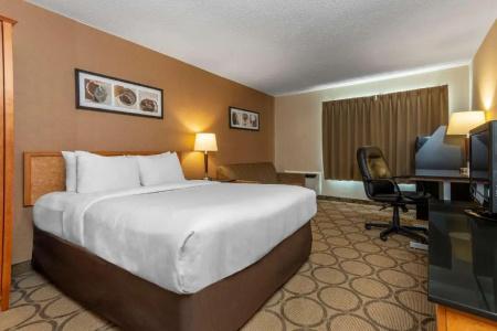 Comfort Inn - 45
