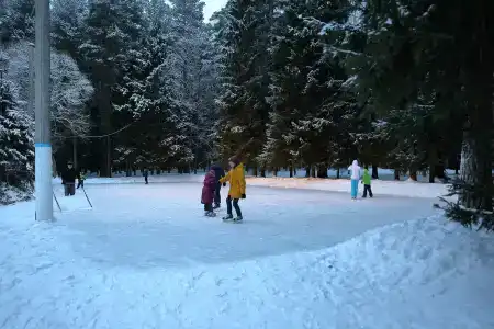 Бор - 41