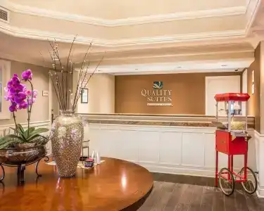 Quality Suites Atlanta Buckhead Village North - 10