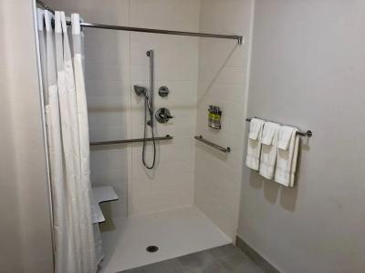 Holiday Inn Express & Suites - Houston Westchase - Westheimer, an IHG - 71