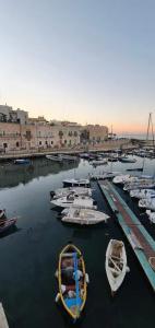 mediterraneo - 19