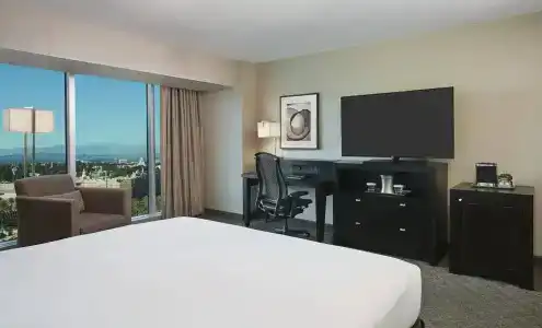 Hilton Anaheim - 3