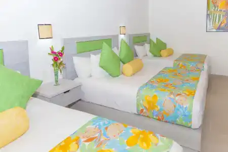 Mestizo Gallery - 2