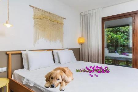 Faros Bodrum - Special Category - 23