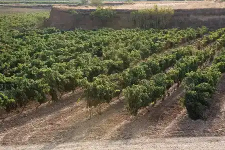 f&g Logroño - 44
