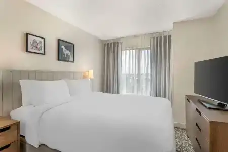 Sonesta Es Suites San Antonio Downtown Alamo Plaza - 5