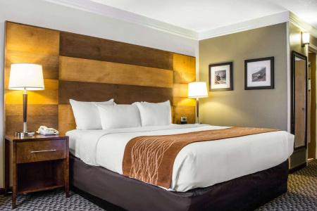 Comfort Inn & Suites - 64