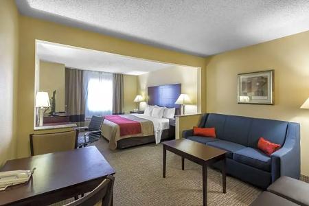 Comfort Inn & Suites - 54