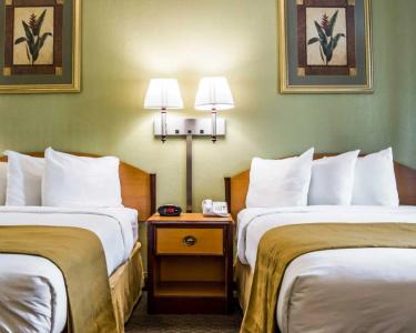 Quality Inn Airport - Cruise Port - 68