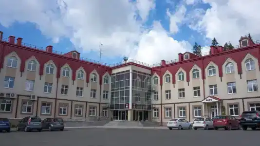 Аист - 1