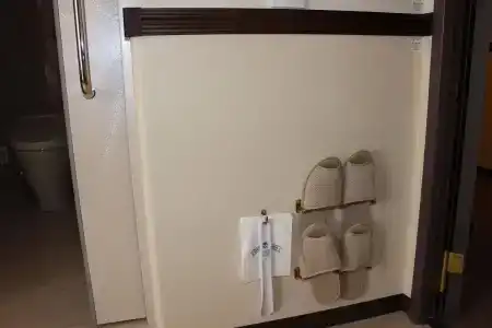 Toyoko Inn Kagoshima chuo eki Nishi guchi - 8