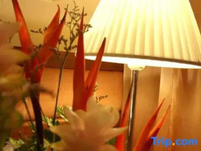 People Place Boutique In Town - Sha Extra Plus - 71