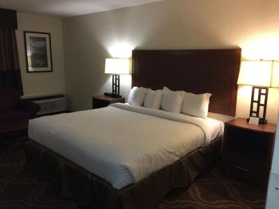 Ashmore Inn and Suites - 2