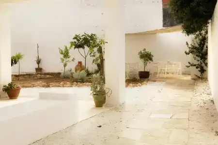 Canneddi Boutique Farm - 14