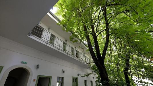 The Hive Party Hostel Budapest - 19