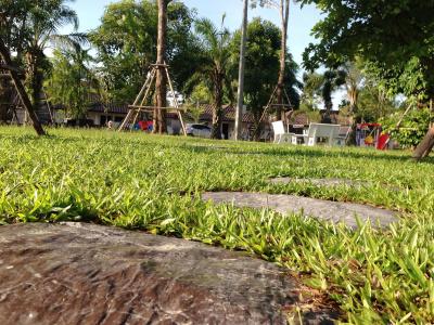 Chiang Rai Greenpark - 12