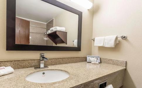 Red Roof Inn Plus+ & Suites Houston – Iah Airport Sw - 8