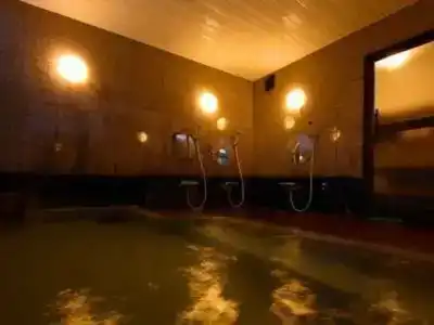 Matsunoi Ryokan - 11
