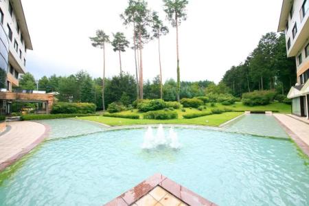 Evergreen Fuji - 11