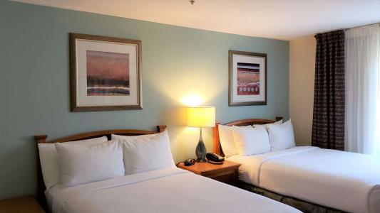 Sonesta Es Suites San Antonio Northwest - 75