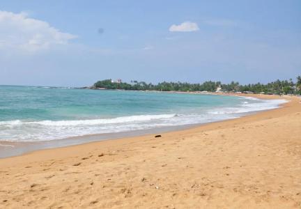 SurfCity Guesthouse - 7