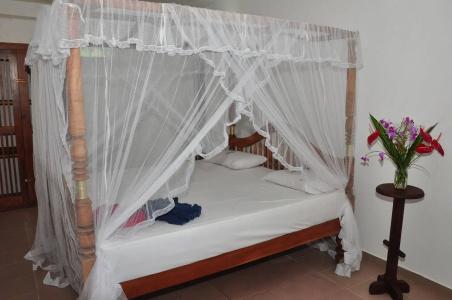 SurfCity Guesthouse - 25