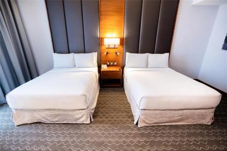 Doubletree By Hilton Mexico City Santa Fe - 45