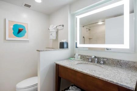Holiday Inn Orlando – Disney Springs™ Area, An Ihg - 61