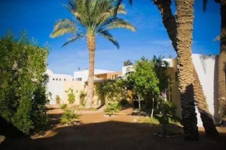Sunrise Dahab Camp - 1