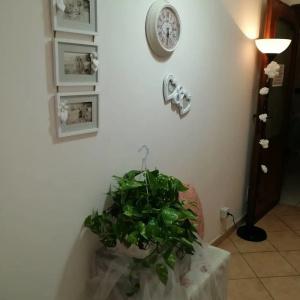 La Perla b & b - 9