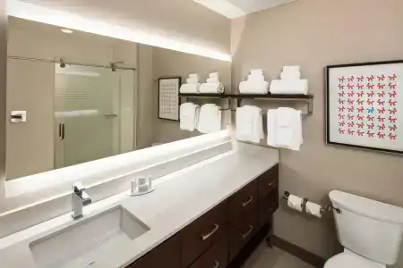 TownePlace Suites by Marriott New Orleans Downtown/Canal Street - 54