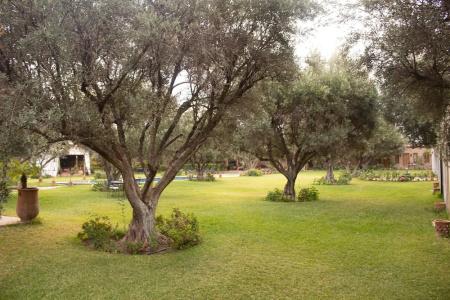 Aqua Mirage Club & Aqua Parc - All Inclusive - 34