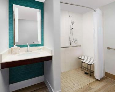 Hilton Garden Inn Orlando at SeaWorld - 11
