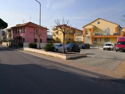 Delle Mimose - 16